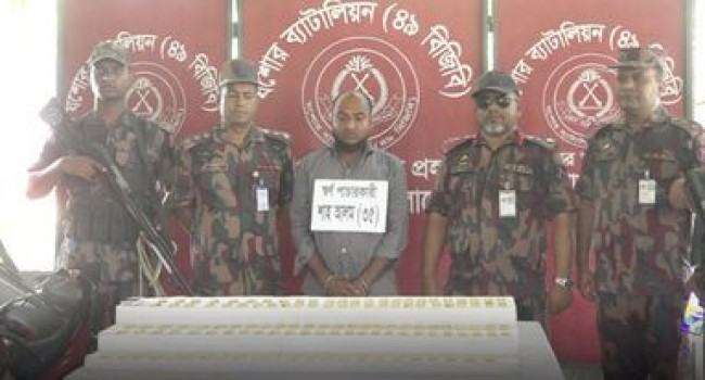 চৌগাছায় ১১ কোটি টাকার সোনাসহ পাচারকারী আটক