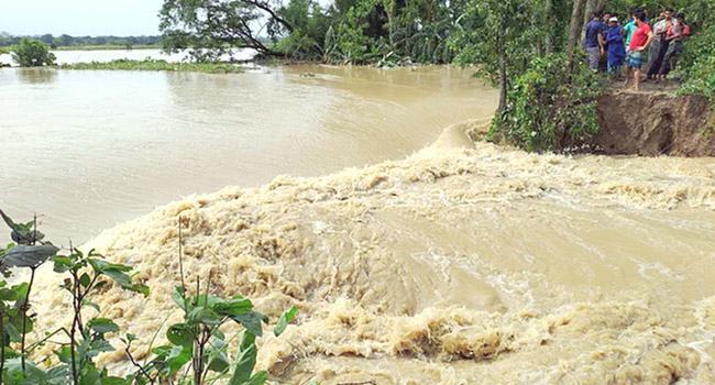 সিলেটে বরাক মোহনায় ডাইক ভেঙ্গে প্রবল বেগে পানি ঢুকছে