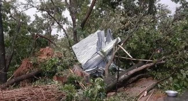 ঝড়ের তাণ্ডবে লণ্ডভণ্ড কুষ্টিয়া