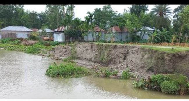 তিস্তার ভাঙনে দিশেহারা বিনবিনিয়াবাসি