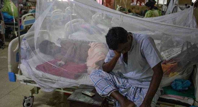 ডেঙ্গু আক্রান্ত ১৫ রোগী হাসপাতালে ভর্তি
