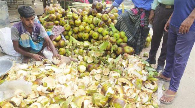 চলনবিলে তালের শাঁস বিক্রির ধুম