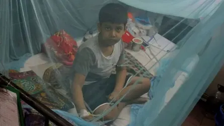 মশারি টানানোয় মশা এখন দিনে কামড়ায় বেশি!