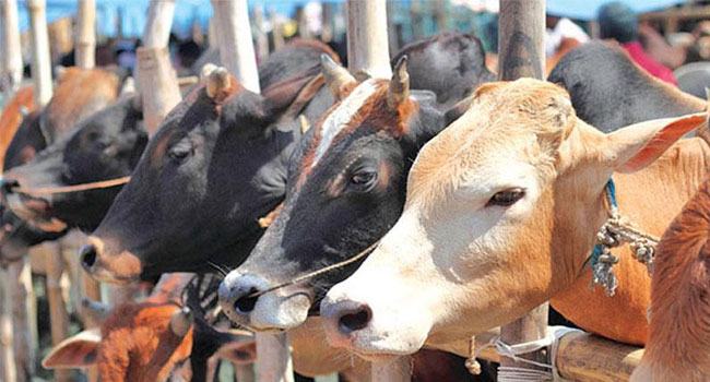 কোরবানি দেয়া কার ওপর ওয়াজিব