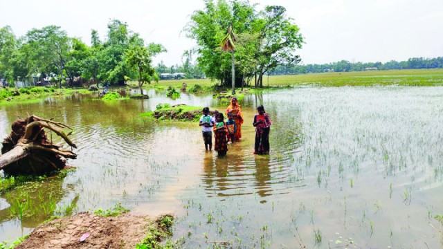 নালিতাবাড়ীতে রাস্তা কেটে নেয়ায় ভোগান্তিতে ৯ পরিবার