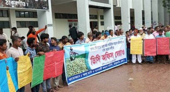 ঠাকুরগাঁওয়ে আলুচাষিদের ডিসি অফিস ঘেরাও