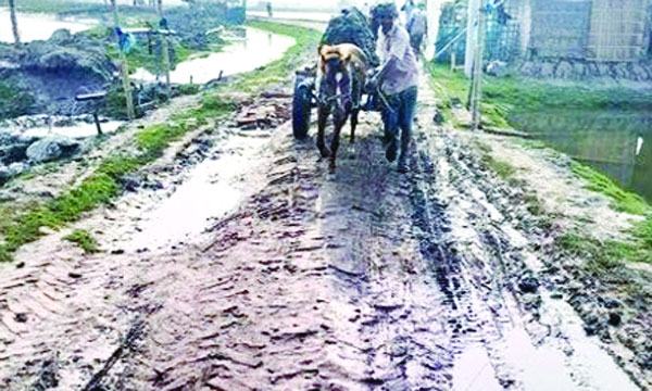 পাইকগাছায় ৩ ইউনিয়নের সংযোগ সড়ক বেহাল