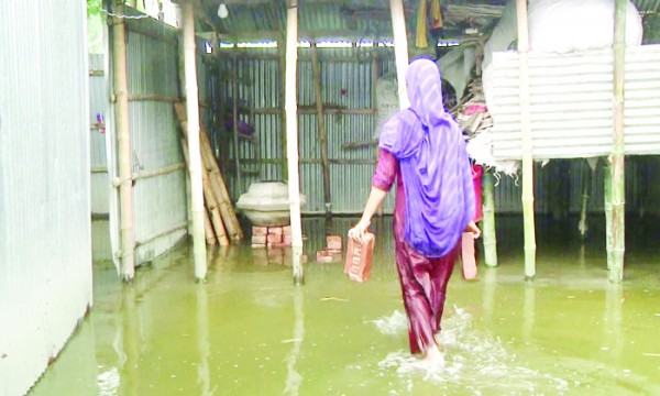 বাড়িঘরে ঢুকছে পানি, বাদামসহ ফসলের ক্ষতি