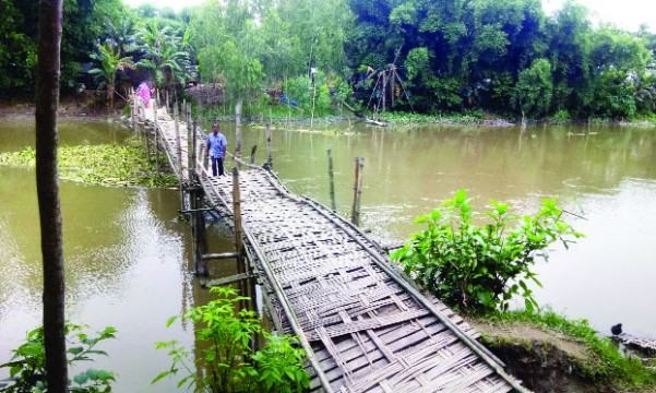 নাগেশ্বরীর ৫ গ্রামের দুর্ভোগ নড়বড়ে বাঁশের সাঁকো