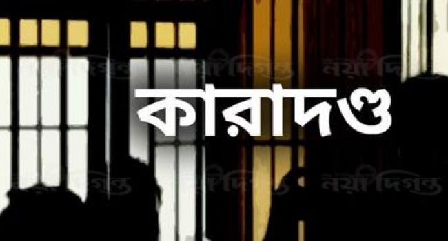 ইয়াবা পাচার মামলা : কক্সবাজারে যুবকের ১০ বছরের কারাদণ্ড