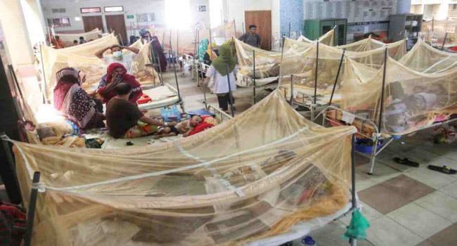 ডেঙ্গু আক্রান্ত আরো ২২ রোগী হাসপাতালে