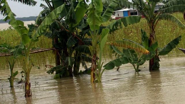দেওয়ানগঞ্জে পানিতে ডুবে ২ শিশুর মৃত্যু
