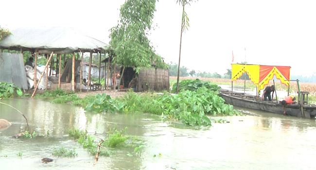তিস্তার পানি বিপদসীমার ওপরে, বন্যার কবলে অববাহিকা
