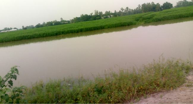 সারিয়াকাান্দিতে যমুনার পানি বৃদ্ধিতে নিম্নাঞ্চল প্লাবিত