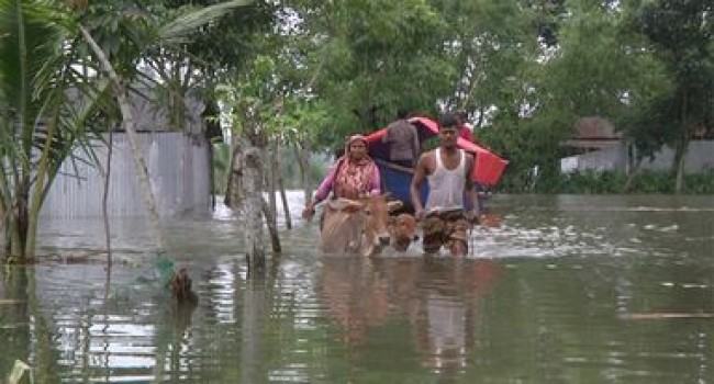বাড়ছে পানি, তিস্তা পাড়ের বন্যার্তদের খাদ্য সঙ্কট