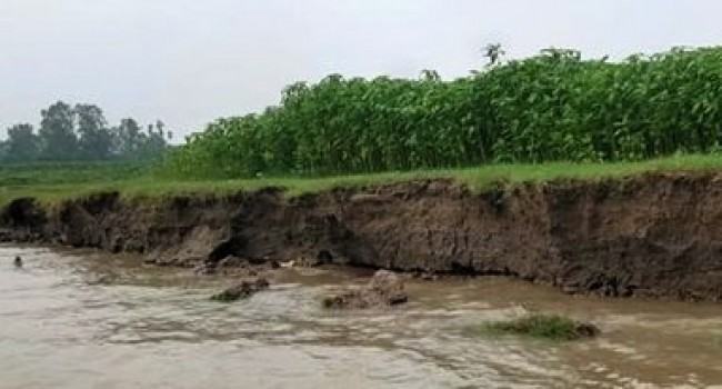 সুন্দরগঞ্জে নদীগর্ভে বিলীন হচ্ছে ফসলি জমি