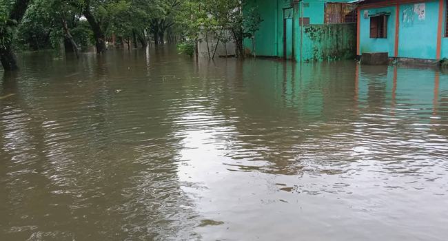 ধর্মপাশায় বন্যার পানিতে ৫০ গ্রামের হাজারো মানুষ পানিবন্ধী