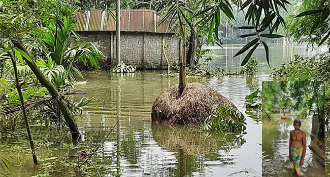 তিস্তার পানি আবারো বিপৎসীমার ওপরে