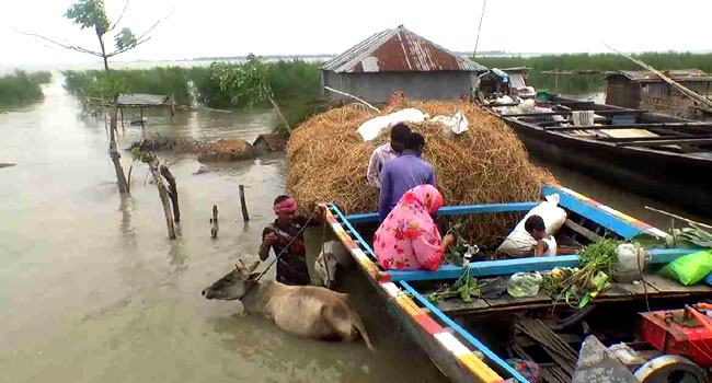 পানিবন্দী ২ লাখ মানুষ, কুড়িগ্রামে বাড়ছে ব্রহ্মপুত্র ও ধরলার পানি