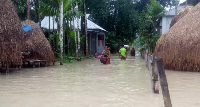 নাগেশ্বরীতে ভয়াবহরূপে বন্যা, পানিবন্দি লক্ষাধিক মানুষ