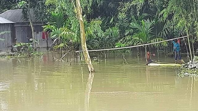 তিস্তার পানি বাড়ছেই, পানিবন্দি নিচু এলাকার মানুষ
