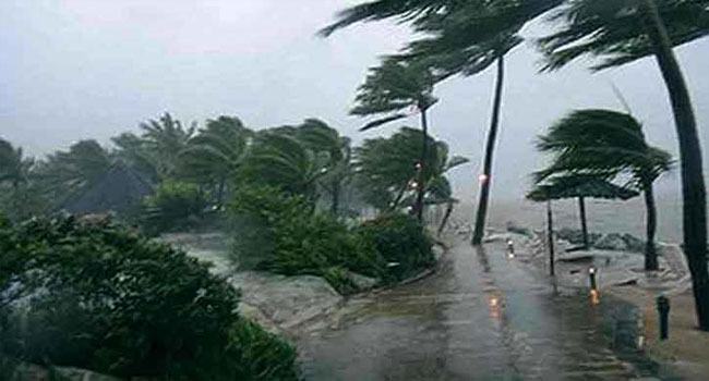 লুটেরা মানসিকতা