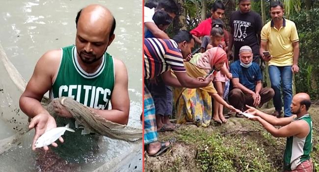 বেতাগীতে পুকুরে মিলল ৭ ইলিশ! জনমনে কৌতূহল