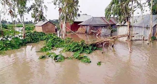 গাইবান্ধায় নদ-নদীর পানি বৃদ্ধি অব্যাহত, বাড়ছে জনদুর্ভোগ