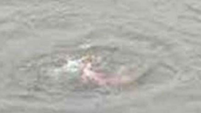 পীরগঞ্জে পানিতে ডুবে শিশুর মৃত্যু