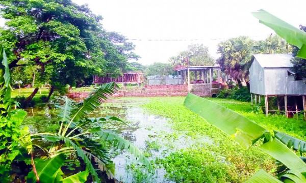 ভালুকায় খাল দখল করে বহুতল ভবন!