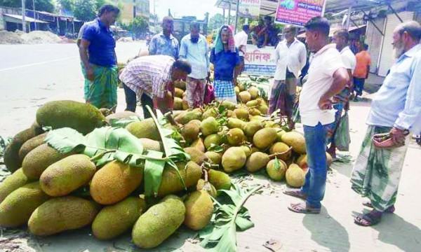 জমে উঠেছে রূপদিয়ার কাঁঠালের হাট