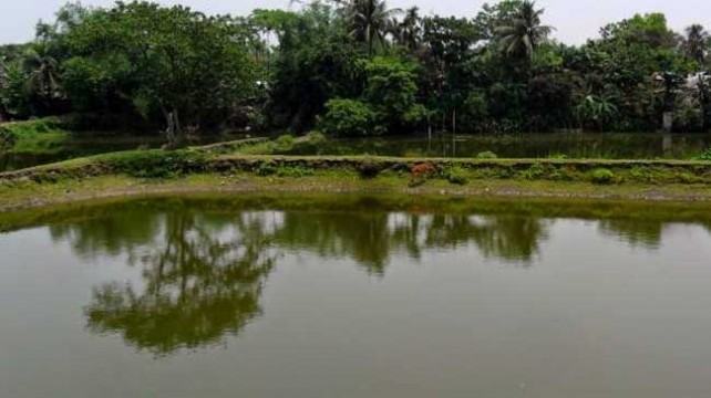 ফুলবাড়ীতে পুকুরে ভেসে উঠল স্কুল ছাত্রীর লাশ