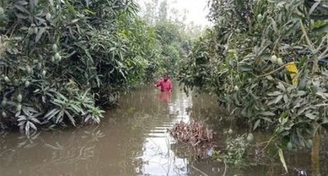 দেবীগঞ্জে পানিতে ডুবছে বাবুর স্বপ্ন