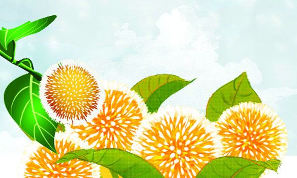 বাদলা দিনের কদম ফুল