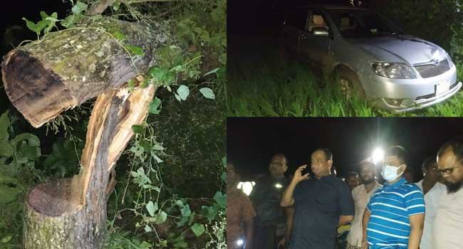সড়কে গাছ ফেলে ঘণ্টাব্যাপী ডাকাতি, অর্ধকোটি টাকা লুট