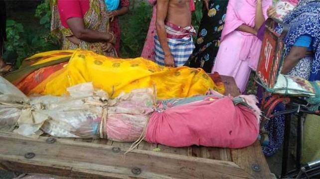 বোয়ালমারীতে ট্রাক চাপায় মা-মেয়ে নিহত