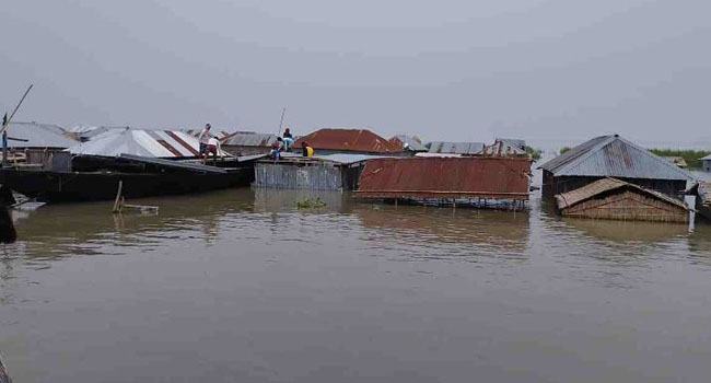 বন্যায় ভেসে গেছে নেত্রকোণার মাছ চাষিদের স্বপ্ন