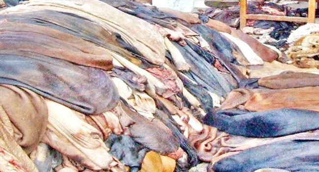 চামড়া কিনতে ১১ ব্যাংক ঋণ দেবে ৪৪৩ কোটি টাকা