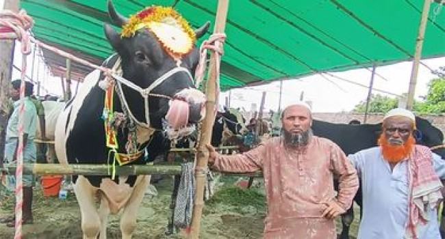 সোনারগাঁওয়ে ক্রেতাদের সব আকর্ষণ ‘ওমর সানী’র প্রতি