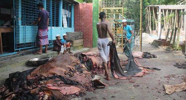 দোহারে কোরবানির পশুর চামড়ার ক্রেতা নেই