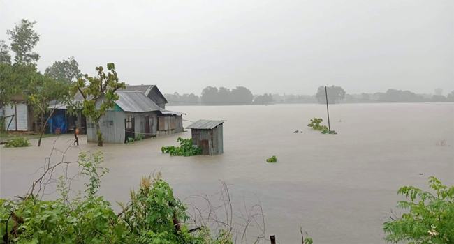 আগস্টে আরেকটি ভয়াবহ বন্যার পূর্বাভাস রয়েছে : কৃষিমন্ত্রী