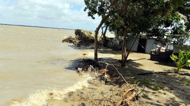 বাঁধ ভেঙে ১৫ গ্রাম প্লাবিত, পানির নিচে ফসলি জমি