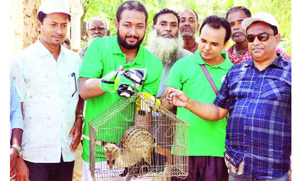 প্রাণে বাঁচল বাগদাশা
