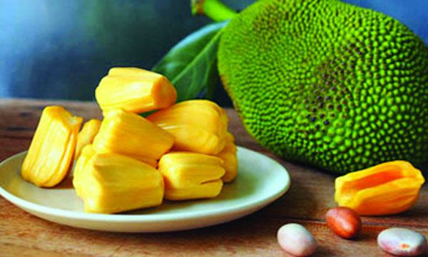 কাঁঠালের যত গুণ