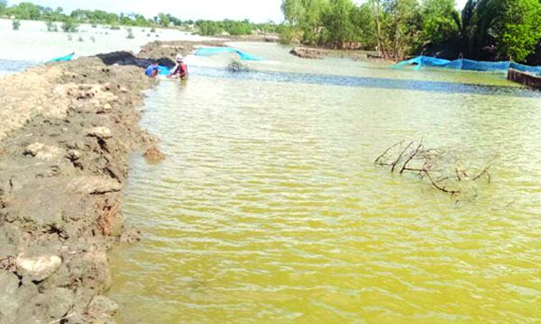 পাইকগাছায় শহর রক্ষার নামে অপরিকল্পিত বাঁধ
