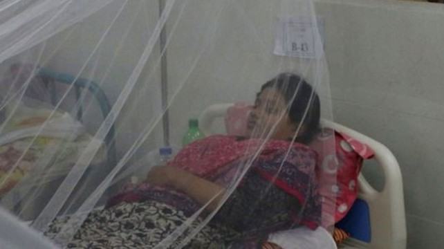 হাসপাতালে ভর্তি আরো ৬৫ ডেঙ্গু রোগী
