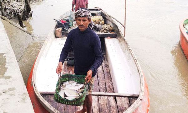ভরা মৌসুমেও ইলিশের দেখা নেই মিরসরাই উপকূলে