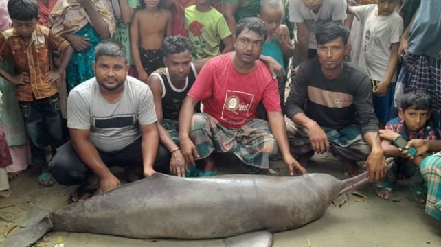 বরশিতে ধরা পড়ল আড়াই মণের সামুদ্রিক শুশুক