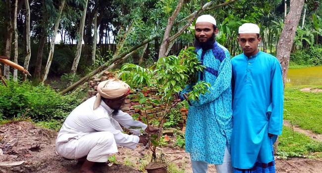 ১৪৪৪ হিজরী উপলক্ষে নওগাঁর রাণীনগরে বৃক্ষ রোপন