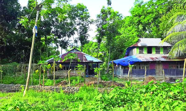 তারকাঁটার বেড়ায় বন্দী ৫০ পরিবার বন্দোবস্তের নামে জমি দখল